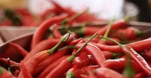 Can capsaicin kill Cancer cells?